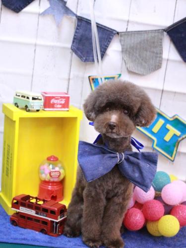 20230420きょうのちゃん